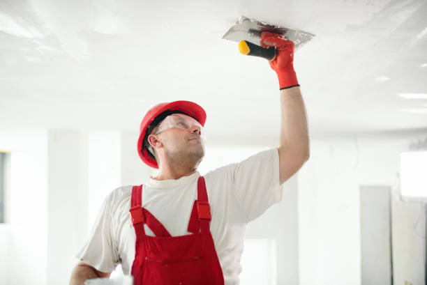 Best Water-Damaged Drywall Repair  in North Corbin, KY